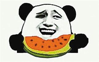 吃瓜群众的瓜是什么