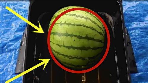 暗黑吃瓜官网入口免费观看,揭秘暗黑世界，畅享独家视听盛宴