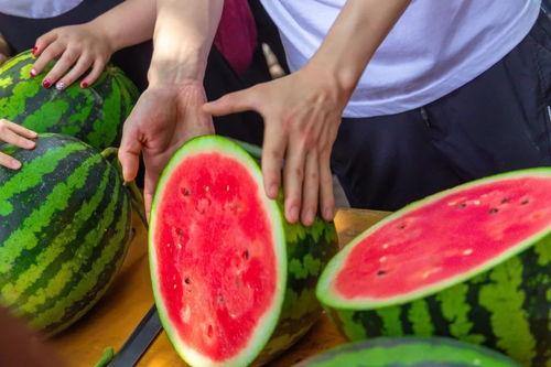 娱乐吃瓜酱喂西瓜,揭秘娱乐圈那些不为人知的幕后故事