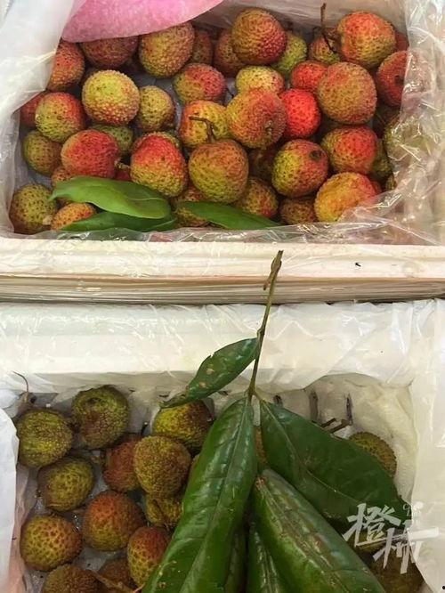 荔枝娱乐吃瓜爆料