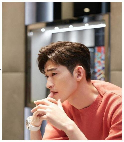 娱乐圈吃瓜张翰