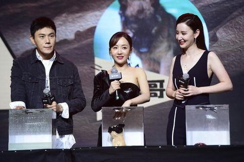 娱乐圈吃瓜汇总TXT,揭秘明星幕后故事与热点事件