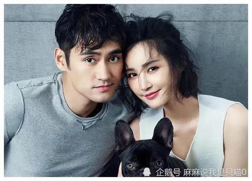 娱乐圈圈吃瓜爆料视频,吃瓜视频背后的惊人真相