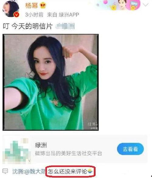 最新娱乐圈八卦吃瓜事件,当红明星疑陷感情纠葛，真相究竟如何？